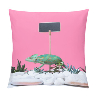 Personality  Cute Colorful Chameleon Crawling On Stones And Succulents, Blank Sign Isolated On Pink  Pillow Covers