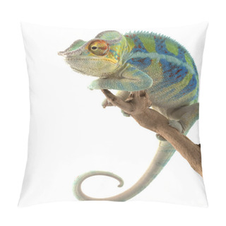 Personality  Ambanja Panther Chameleon Pillow Covers