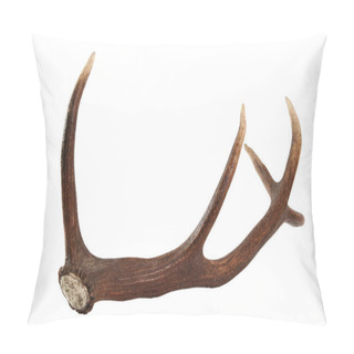 Personality  Red Deer Antler. Isolated On A White Background. Pillow Covers