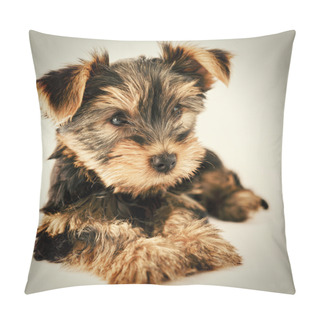 Personality  Yorkshire Terrier - Portrait Of A Cute Puppy Pillow Covers