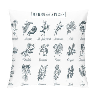 Personality  Herbs And Spices Set Pillow Covers