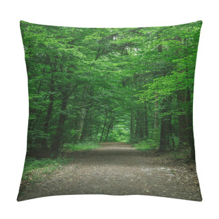 Personality  Rural Road In Green Beautiful Forest In Wurzburg, Germany Pillow Covers