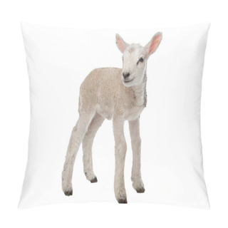 Personality  Lamb Pillow Covers