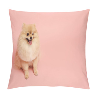 Personality  Cute Little Pomeranian Spitz Dog Sitting On Pink Pillow Covers