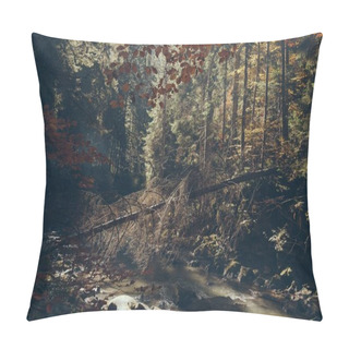 Personality  Scenic Mountain River In Autumnal Forest, Carpathians, Ukraine Pillow Covers