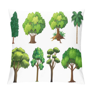 Personality  Set Of Variety Plants And Trees Illustration Pillow Covers