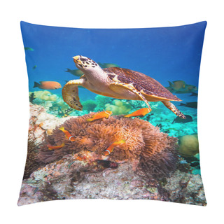 Personality  Hawksbill Turtle - Eretmochelys Imbricata Pillow Covers
