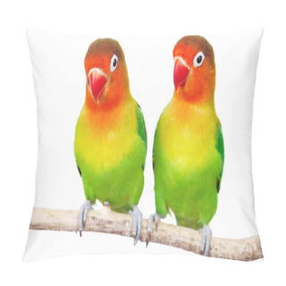 Personality  Pair Of Lovebirds Pillow Covers