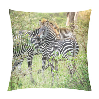 Personality  South African Graceful Zebras With Black-and-white Striped Coats Standing At A Sunny Day In Green Bushes Of Savannah At Rainy Season In Selous Game Reserve Protected Area. Horizontal Image Pillow Covers