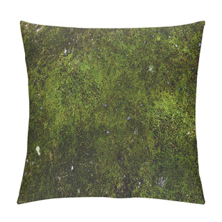 Personality  Full Frame Image Of Green Moss Background Pillow Covers