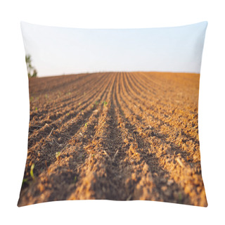 Personality  Rural Landscape. Close-up Of Black Soil Prepared Before Sowing Plants, Vegetables, Seed In Sunset Light. Agriculture Concept. Pillow Covers