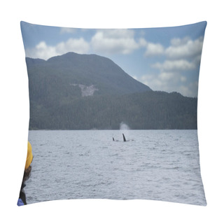 Personality  Woman Is Looking At Killer Whales In Tofino, Mountains In Background, View From A Boat Pillow Covers