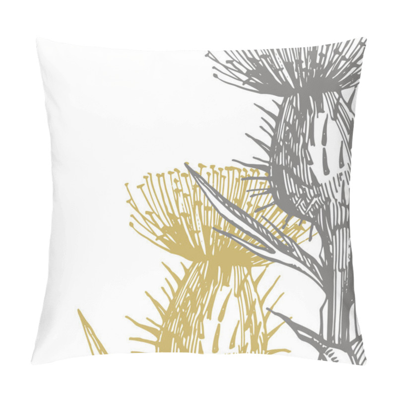 Personality  Thistle or daisy flower. Botanical illustration. Good for cosmetics, medicine, treating, aromatherapy, nursing, package design, field bouquet. Hand drawn wild hay flowers pillow covers
