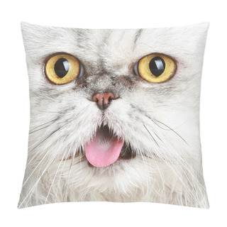 Personality  Portrait Of A Cat Pillow Covers