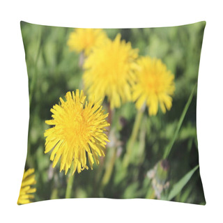 Personality  Blooming Dandelion In The Meadow. Pillow Covers