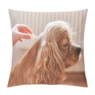 Personality   The Dog Is Dripped On The Withers With A Parasite Remedy Pillow Covers
