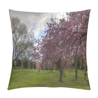 Personality  Central Park Cherry Trees Pillow Covers