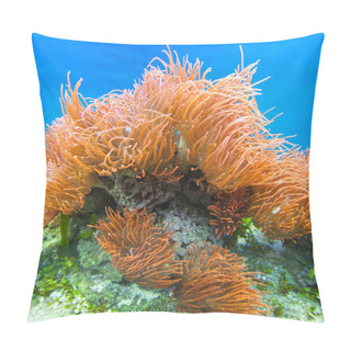 Personality  Underwater Paradise Pillow Covers