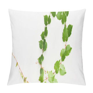 Personality  Panoramic Shot Of Hop Plant Twig With Green Leaves Isolated On White Pillow Covers