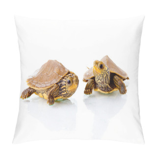 Personality  Baby Turtles Pillow Covers