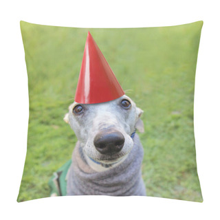 Personality  Dog With Birthday Hat Pillow Covers