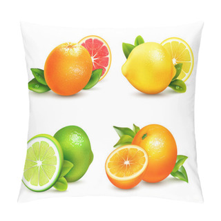 Personality   Citrus Fruits  4 Realistic Icons Set  Pillow Covers