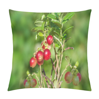 Personality  Red And White Cranberry Berries Ripen On A Bush In The Forest Close Up Pillow Covers