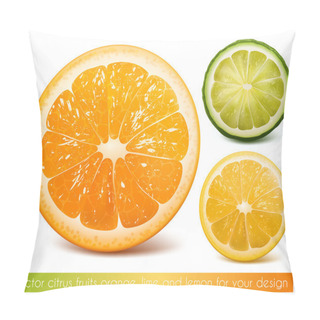 Personality  Vector Citrus Fruits Pillow Covers