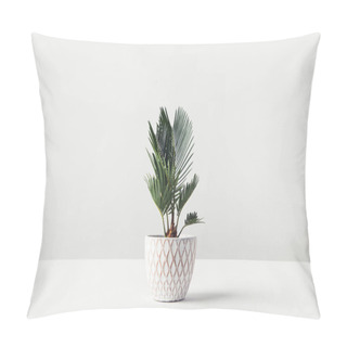 Personality  Beautiful Green Houseplant Growing In Decorative Pot On White   Pillow Covers