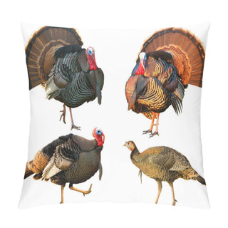 Personality  Several Turkey Toms Strutting Pillow Covers