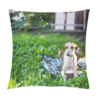 Personality  Greyhound Dog Lying Down Pillow Covers