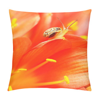 Personality  Macro On Snail Pillow Covers