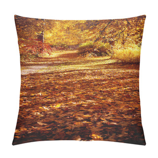 Personality  Colorful Autumn Trees On Beautuful Sunny Day Pillow Covers