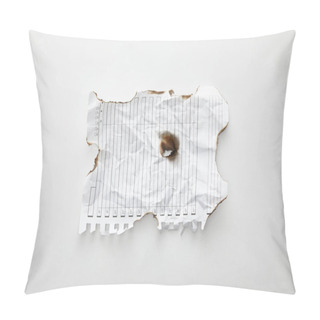 Personality  Top View Of Empty Crumpled And Burnt Vintage Paper On White Background Pillow Covers