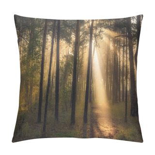 Personality  Morning. Forest. The Sun's Rays Are Played In The Branches Of Trees. Pillow Covers