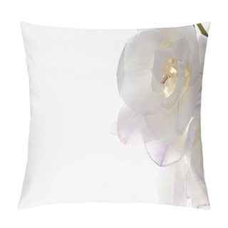 Personality  Trumpet Flower On White Gradient Background, Pillow Covers
