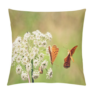 Personality  Orange Butterflys Pillow Covers