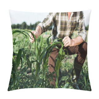 Personality  Selective Focus Of Self-employed Farmer Sitting Near Corn Field  Pillow Covers