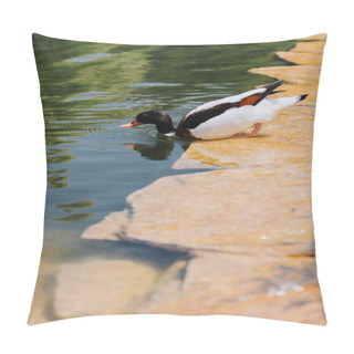 Personality  Selective Focus Of Duck Submerging In Water  Pillow Covers