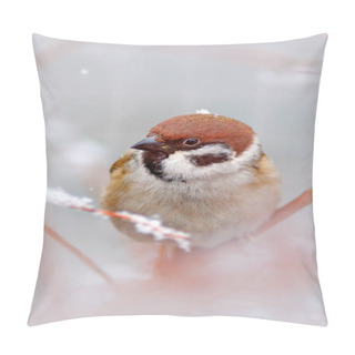 Personality   Bird Tree Sparrow Pillow Covers