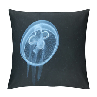 Personality  Moon Jellyfish Pillow Covers