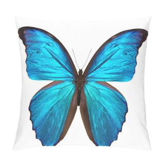 Personality  Beautiful Butterfly Isolated On White Pillow Covers