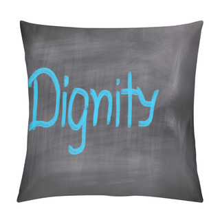 Personality  Dignity Concept Pillow Covers