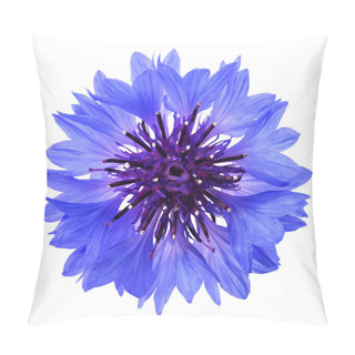 Personality  Blue Cornflower Head Pillow Covers