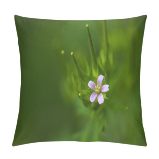 Personality  Wild Geranium Flower Pillow Covers