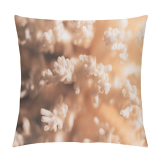 Personality  Close Up View Of Beautiful Coral As Background Pillow Covers