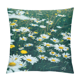 Personality  Wild Daisies In Meadow Pillow Covers