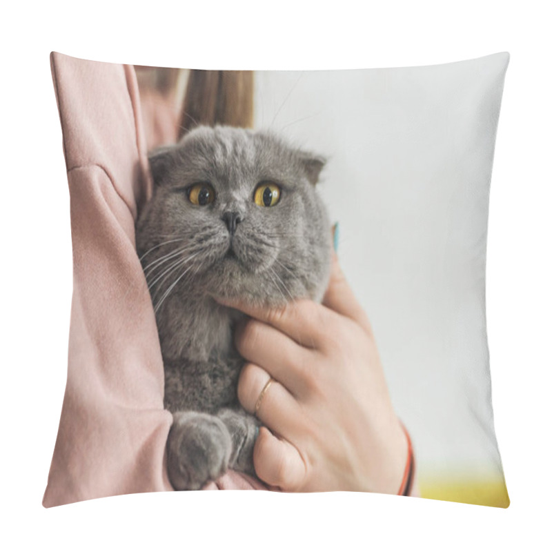 Personality  Cropped Shot Of Woman Carrying Cute Scottish Fold Cat Pillow Covers