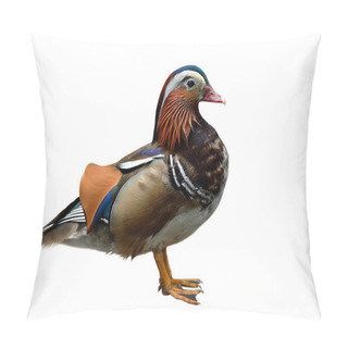Personality  Mandarin Duck (Aix Galericulata) Multiple Colors Duck With Sharp Details Feathers Isolated On White Background Pillow Covers