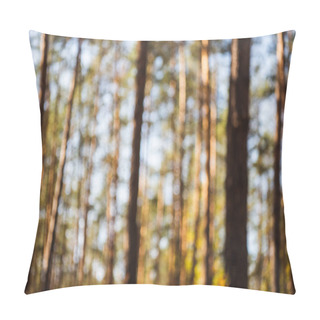 Personality  Defocused Image Of Scenic Autumnal Forest With Wooden Tree Trunks In Sunlight Pillow Covers